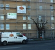 photo1.jpg
